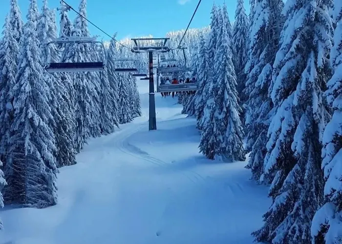 L6 & P90 Milmari Kopaonik