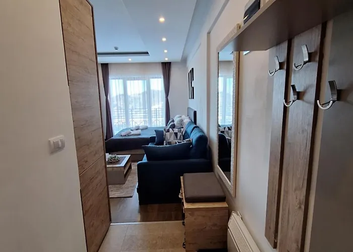 L6 & P90 Milmari 公寓 科帕奥尼克